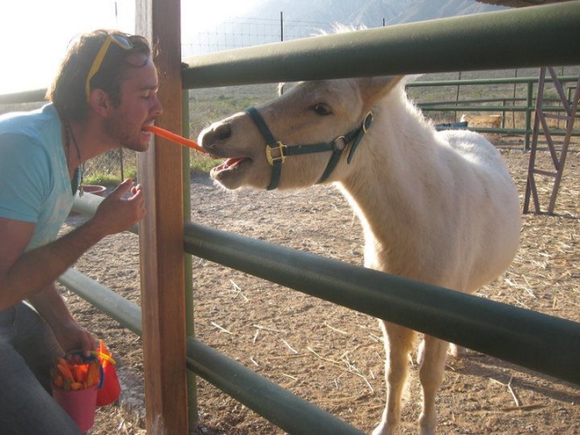 Feeding our friends 